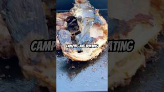 Catch and Cook | Boating | Camping #lakemead #short #catfish #travel