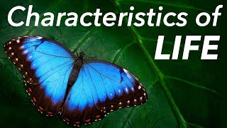 1. Characteristics of Life