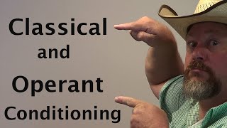 Clicks and Bells: Classical and Operant Conditioning Explained