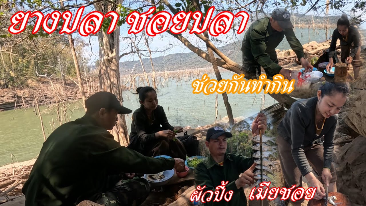 ຊອຍປາ ປີ້ງປາ//ยางปลา ชอยจ้ำปลา | 18 กุมภาพันธ์ ค.ศ. 2026