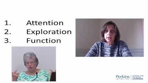 Sensorimotor Stage of Development