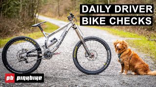 What Bikes Are Everyday Riders Riding? | Daily Driver Bike Checks