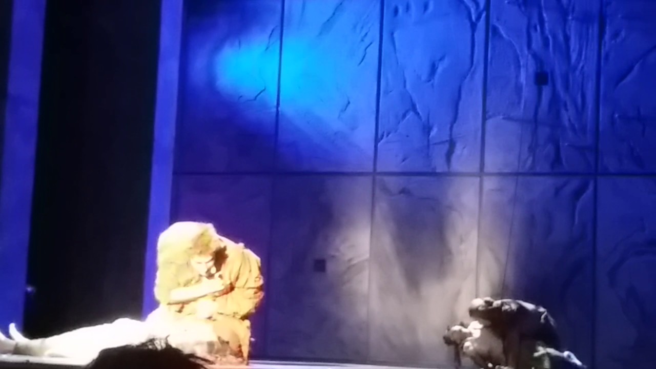 Notre Dame de Paris 2016. 