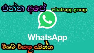  Whatsapp Group   