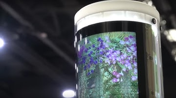 Organic transistors on thin plastic substrates