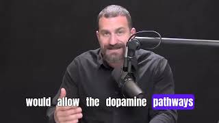 Amino Acids vs Sugar Cravings The Dopamine Pathway Explained