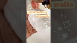 Information How do you clean your walls #clean  #viral #trending #tips #walls #howto Guide