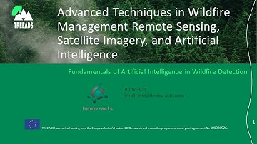 TREEADS 3.0 Fundamentals of artificial intelligence in wildfire detection