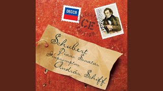 Schubert Piano Sonata No. 17 In D, D.850 1. Allegro Vivace
