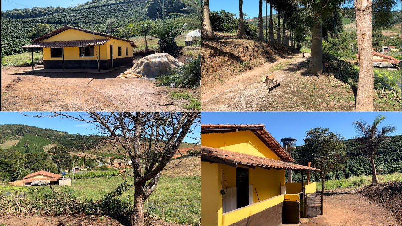 REALIZANDO O SONHO DE MORAR NA ROÇA EM MINAS GERAIS. - YouTube