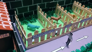 # zoo model for school science project