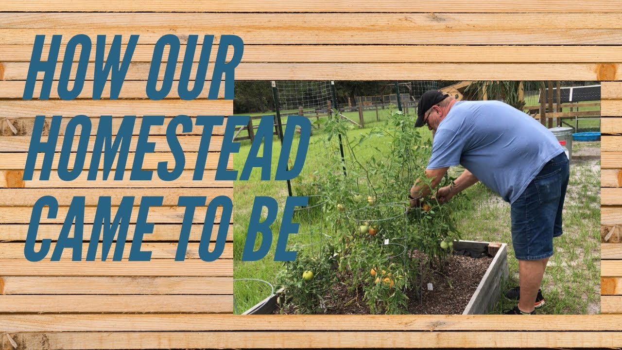 How Our Homestead Came To Be - YouTube