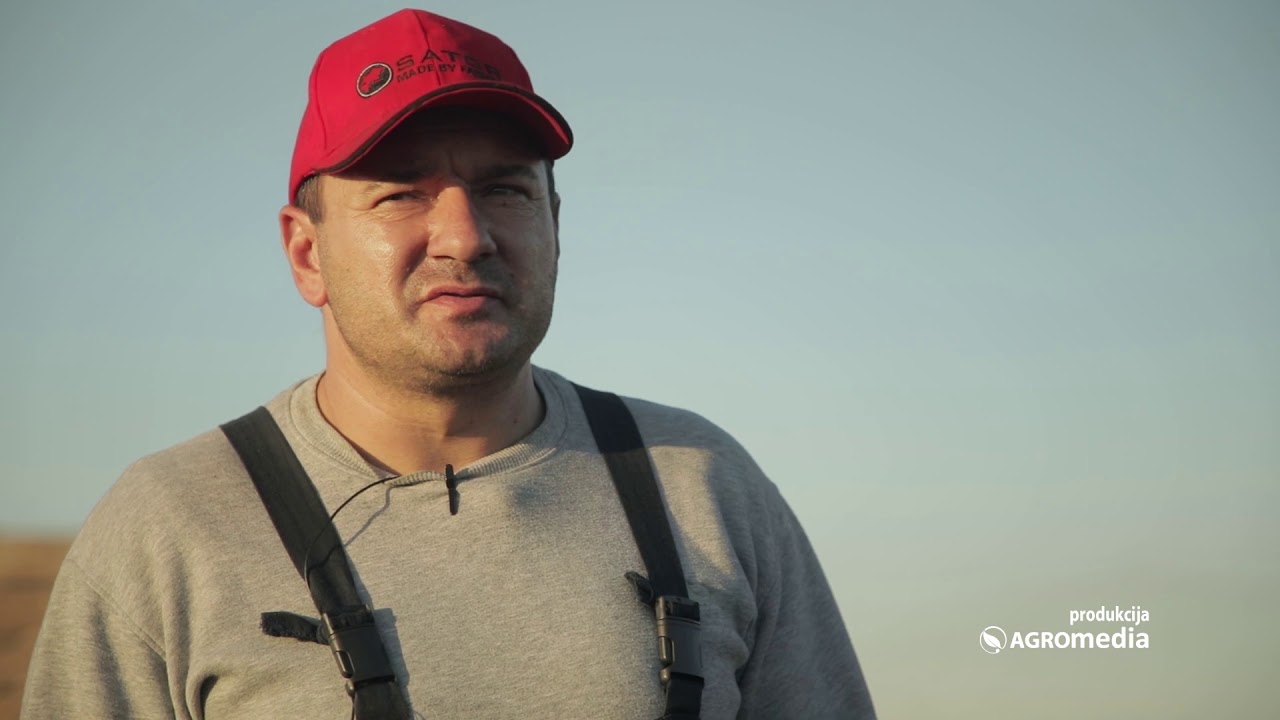 Proizvodnja BEGEČKE Šargarepe: Da li je to STVARNO Isplativo Kao Što Kažu?