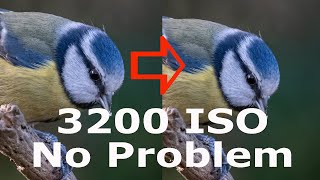 Remove noise from your images even at high ISO