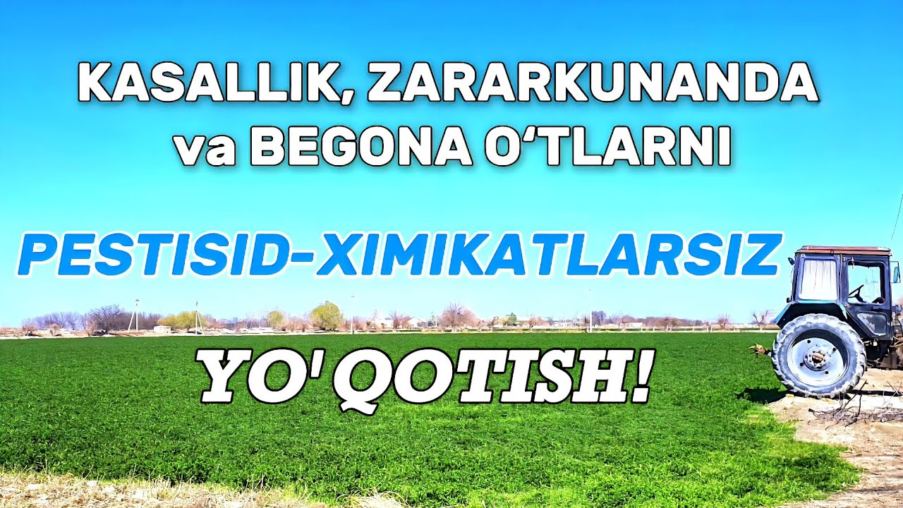 KASALLIK, ZARARKUNANDA va BEGONA O‘TLAGA QARSHI AGROTEXNIK va PROFILAKTIK TADBIRLAR BILAN KURASHISH.