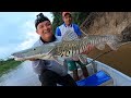 Pesca de Bagres monstruo con múltiples técnicas en Colombia.