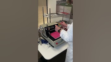 How keychains are made! #shorts #engraving