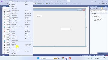 Visual Studio Properties Not Showing 100%