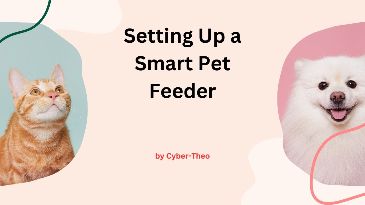 Setting Up a Smart Pet Feeder - YouTube