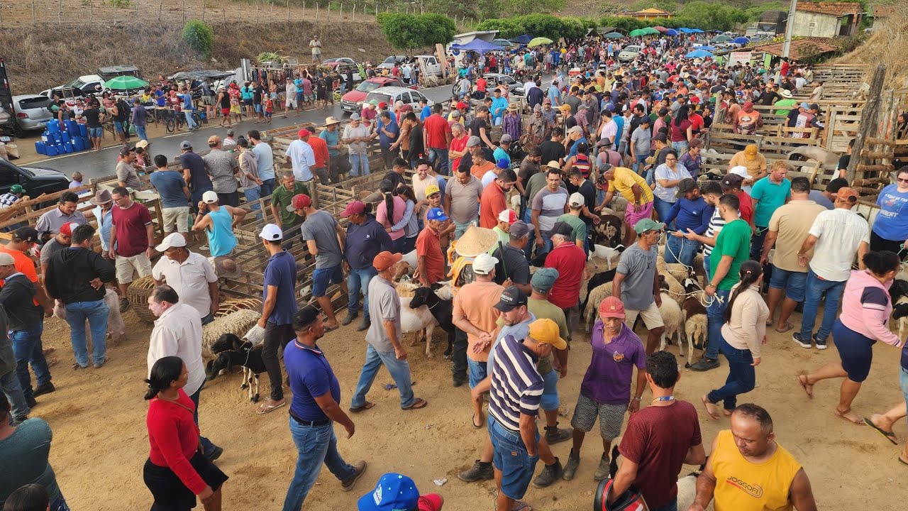 FEIRA DE CAMARADA BASTANTE MOVIMENTADA, CUMARU, PERNAMBUCO, 18/01/2026