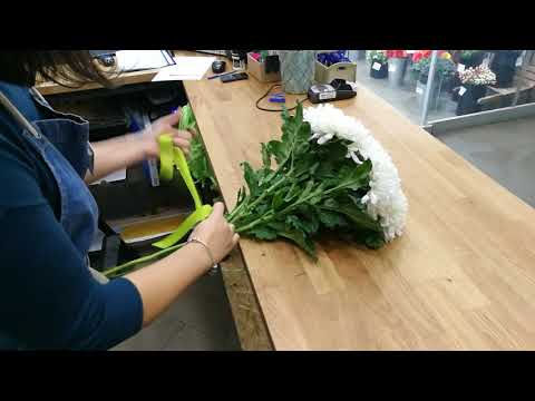 Как составить букет из хризантем своими руками