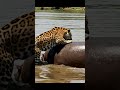 #funny #funnyvideo #jurassicworld #jurassicworld