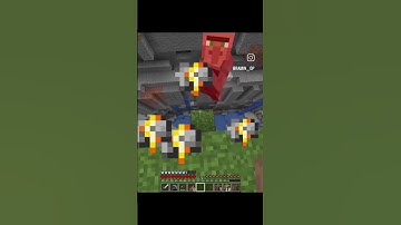 Minecraft Meow Meow Moment.