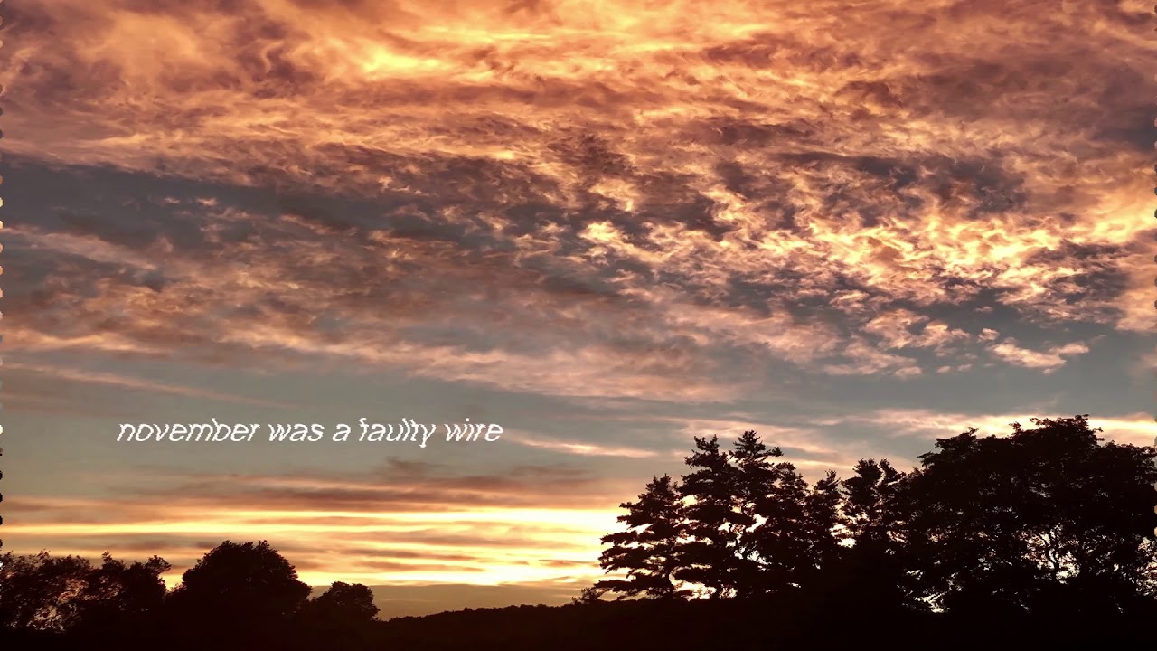 bark dog - november was a faulty wire