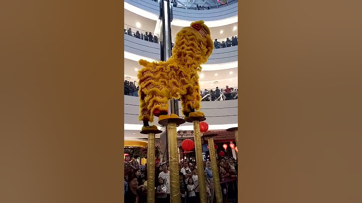 Barongsai jatuh..