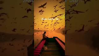 Maine Sanam Tujhe Pyar Kiya Hai Status