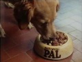 PAL Dog Food Ad2   80s Advert