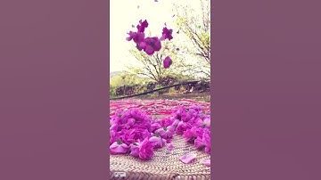 ‏‎#القرآن_الكريم ‎#يوم_الجمعة ‎#ليلة_الجمعة ‎#سورة_الكهف ‎#الصلاة_على_النبي ‎#الدعاء ‎#ياسر_الدوسري
