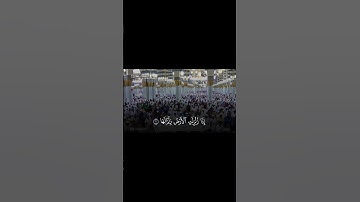 { إِذَا زُلۡزِلَتِ ٱلۡأَرۡضُ زِلۡزَالَهَا } سورة : الزلزلة | أحمد بن طالب