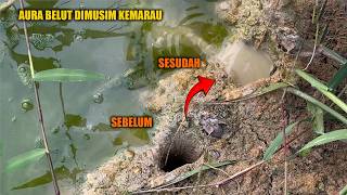 WHICH EEL COULD RESIST THE AROMA OF THIS FOOD