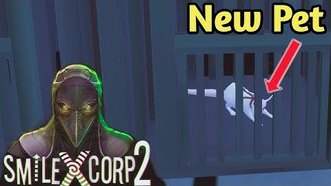 Smiling X Corp 2 New Pet