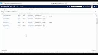 Dynamics CRM Immersive Excel