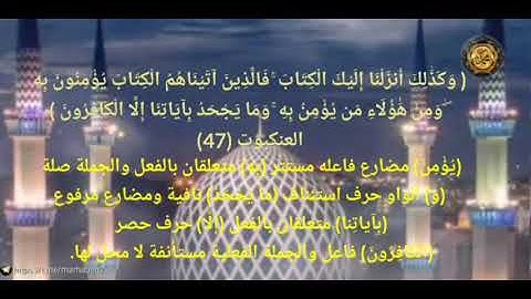 ----{﷽}----《 إعراب القرآن الكريم 》 {سورة - العنكبوت _ مكية}{صفحة ٤٠٢}القارئ :  خليفة الطنيجي