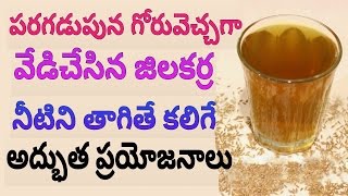 Benefits Of Having Cumin Seeds With Warm Water | Advantages Of Drinking Cumin Water | News Mantra