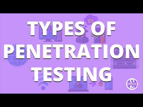 penetration test คือ  New Update  What Are The Types Of Penetration Testing? | PurpleSec
