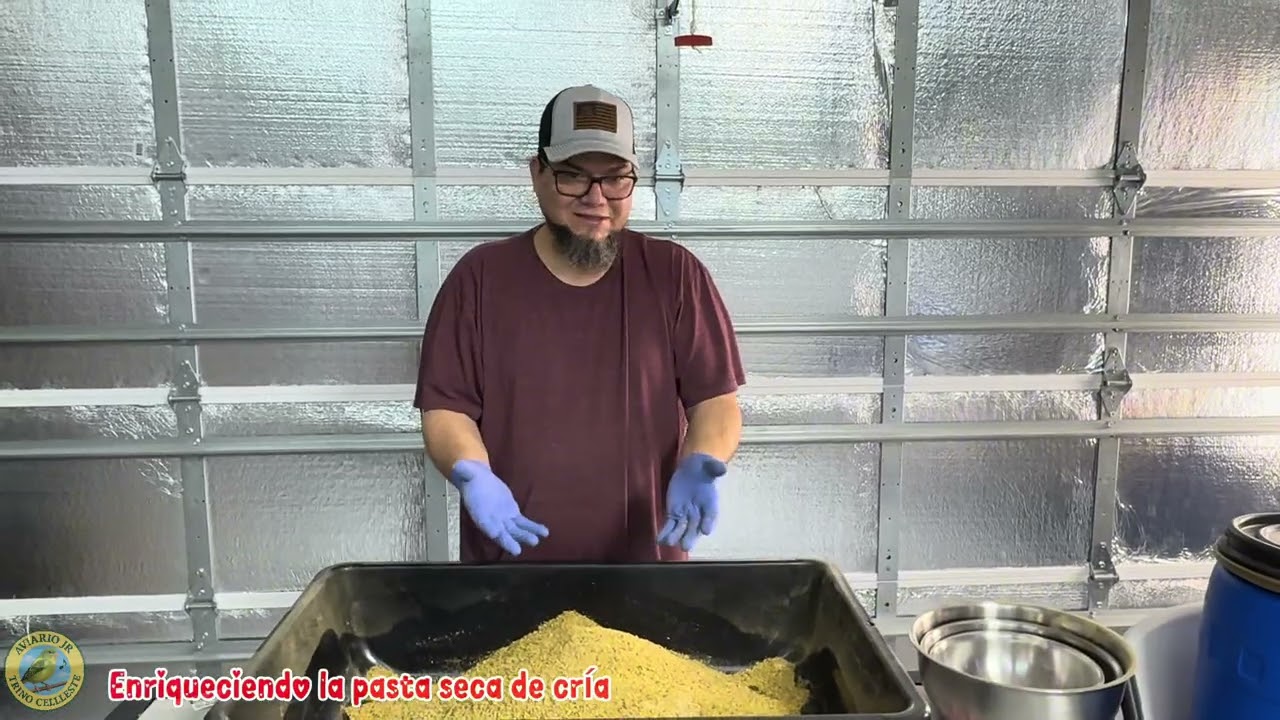 Enriqueciendo la pasta seca de cría para canarios 