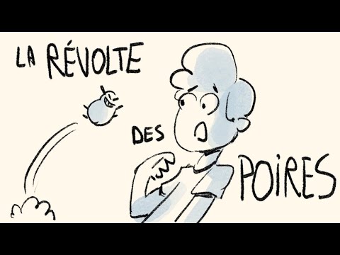 Vidéo: Saule Poire