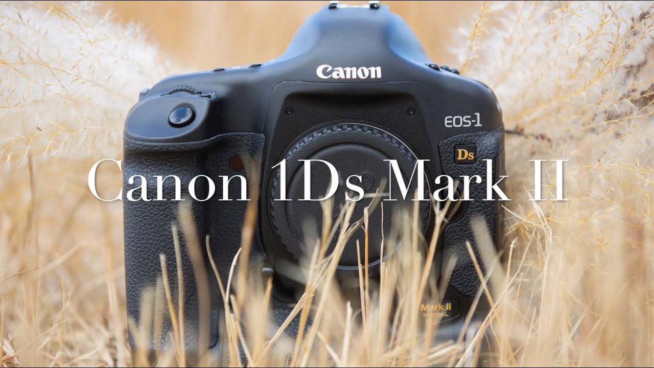 Aanpassing Overleving planter Special video - Canon 1Ds Mark ii in 2020? - YouTube