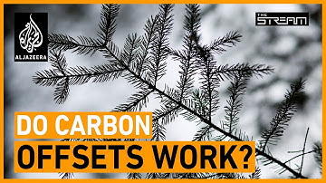 COP26: Is carbon offsetting a stalling tactic?  | The Stream