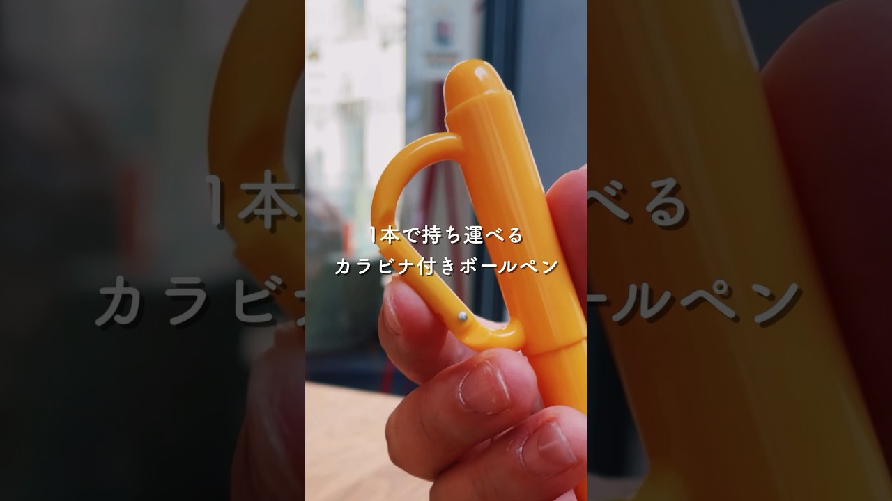 カラビナ付きボールペン 0.7mm 油性ブラック – てんのしごと道具店