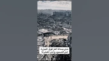 مدي بساط العز فوق المقبرة انتي الصمود وانتي المفخرة غزة 