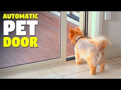 automatic-sliding-pet-door