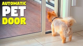 Automatic Sliding Pet Door You Automatic Sliding Pet Door You, Automatic Dog Door Sliding Glass