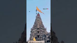 Jay Dwarkadhish 💯 #jaydwarkadhish #kanha #vibes #dwarika #god #blessings #blessed #dwarkadhish #song