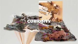 Success in AI Leadership – looking beyond technology, fostering intentional habits