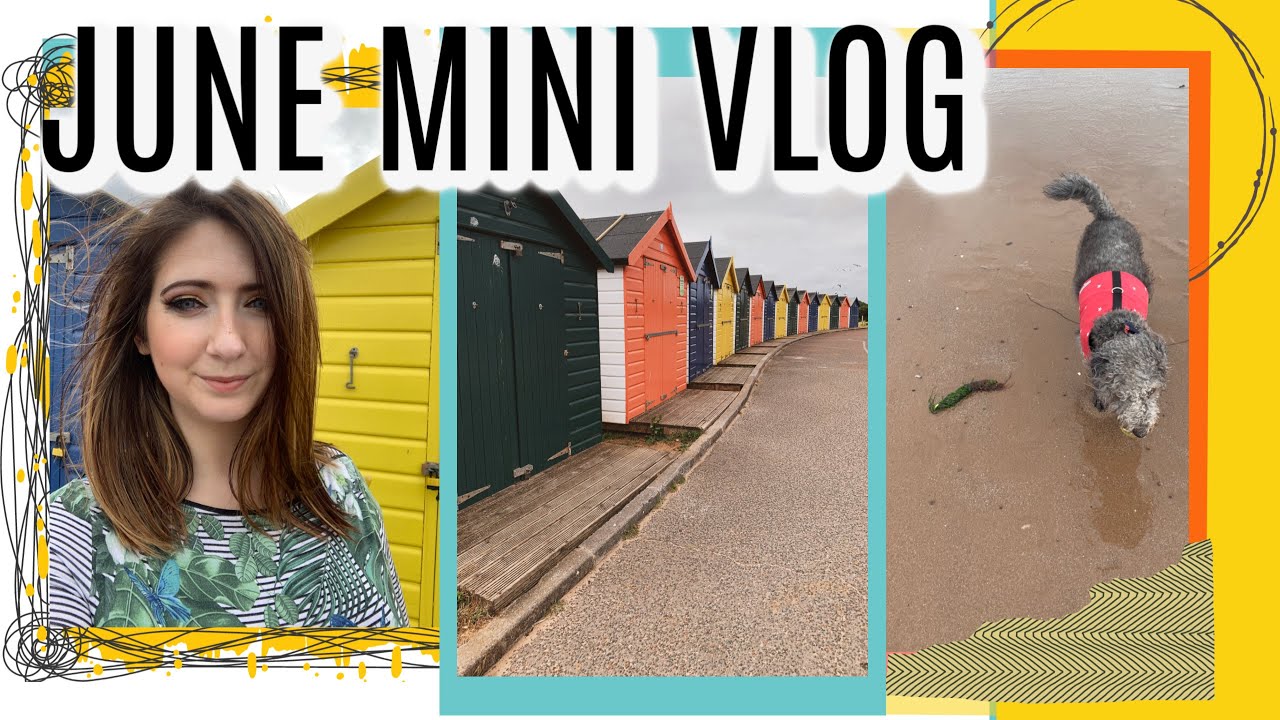 A DAY OUT SOCIAL DISTANCING BEACH VLOG | WILLOW BIGGS